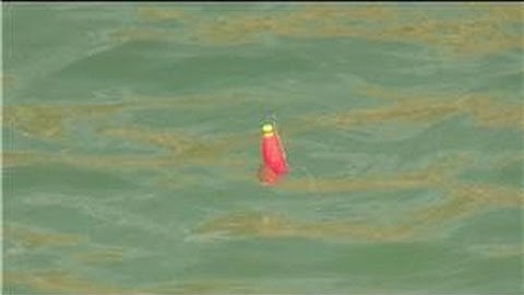 Fishing Lures & Baits : How to Use a Fishing Bobber