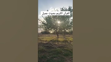 القرآن الكريم بصوت جميل #explore #قرآن #اكسبلور #تيك_توك #اكسبلورر #لايك #فولو #ريلز