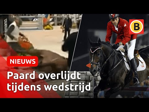 Video: Wat is paardenraces simulcast?