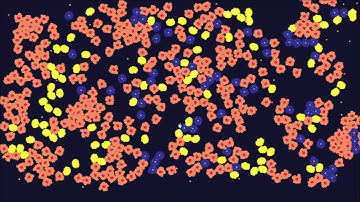 Cellular automata slow
