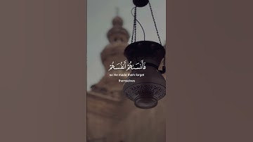 القارئ 🎙️#المنشاوي ‏‎السورة 📖 الحشر