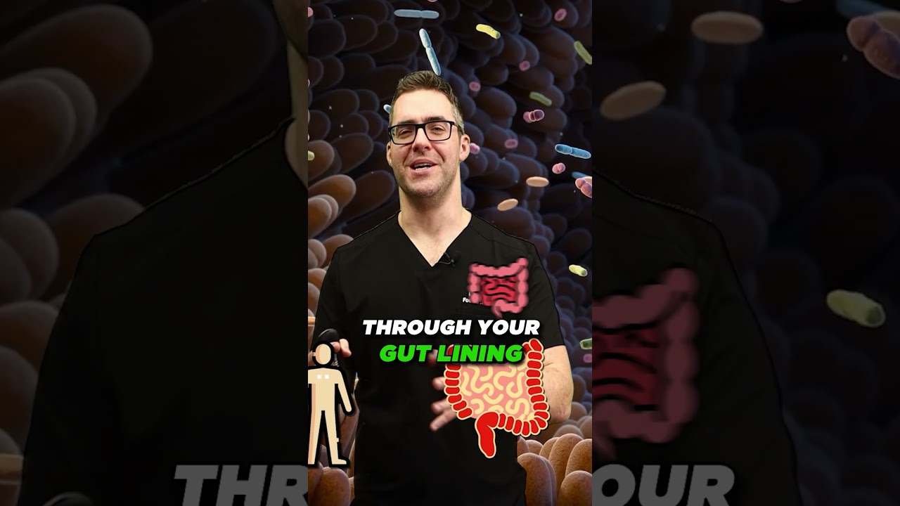 Dihydroberberine Supplement  [ What it? Benefits: Anti-inflammatory, Studies Reveal? Good For You?]