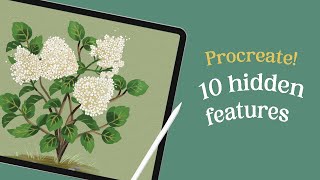 10 Procreate hidden tips I wish I knew as a beginner