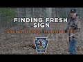 Spring Turkey Hunting Tips- Finding Fresh Sign