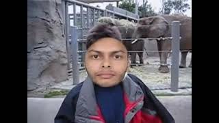 Full Me at the zoo ๐ | Original YouTube Video Remake ๐ @jawed News