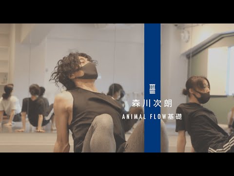 森川次朗 - ANIMAL FLOW基礎【DANCEWORKS】
