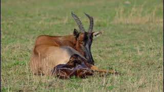 DSCF0957_YouTube