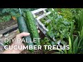 Cucumber Pallet Trellis & new plants for the Veggie Garden