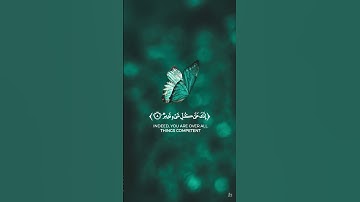 ربنا اتمم لنا نورنا واغفر لنا  سورة التحريم القارئ #أحمد_خضر