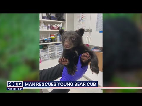 Video: Pet Scoop: Bear Cub, Polis İstasyonunda Geceyi Harcadı, Gruplar Balkan Hayvanlarına Yardım Etmek İçin Rush