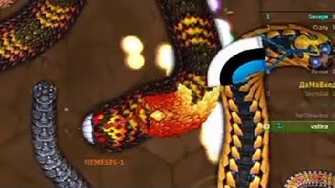 Rắn săn mồi-Game con giun đất Chuyên đi săn-Little Big Snake.io#42