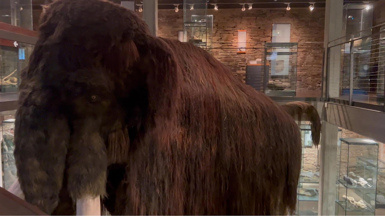 Archäologiemuseum Hagen - Wasserschloss Werdringen