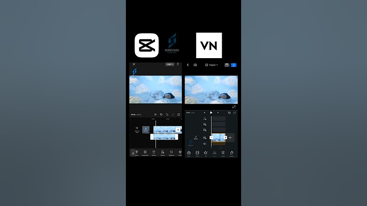 Capcut Vs Vn Video Editor #Shorts