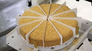 Round Cake Cutting Machines  Round Bakery Product Slicing  FoodTools