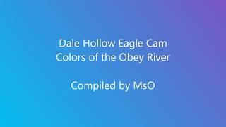 SS Colors of the Obey River