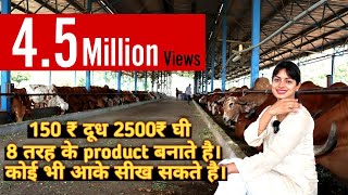 250 देसी गायों का डेयरी फार्म। Desi cow dairy farm । Dairy farming in India।India farming management