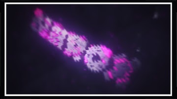 •「INTRO」• N E R O X 【v2】