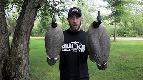 Honker Floater Comparison - Bulk Decoy Club