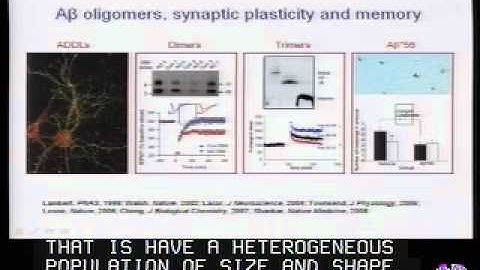 Molecular Mechanisms of Memory Loss in Alzheimer