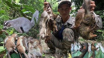Thăm Bẫy Chuột trong Rừng Sau 3 Ngày – Quá Nhiều Thành Phẩm!”survive in the rain forest