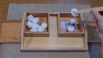 Montessori Practical Life - Transferring with tongs