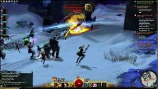 Guild Wars 2 (BWE1) - The Great Critter Hunt (Final Event)