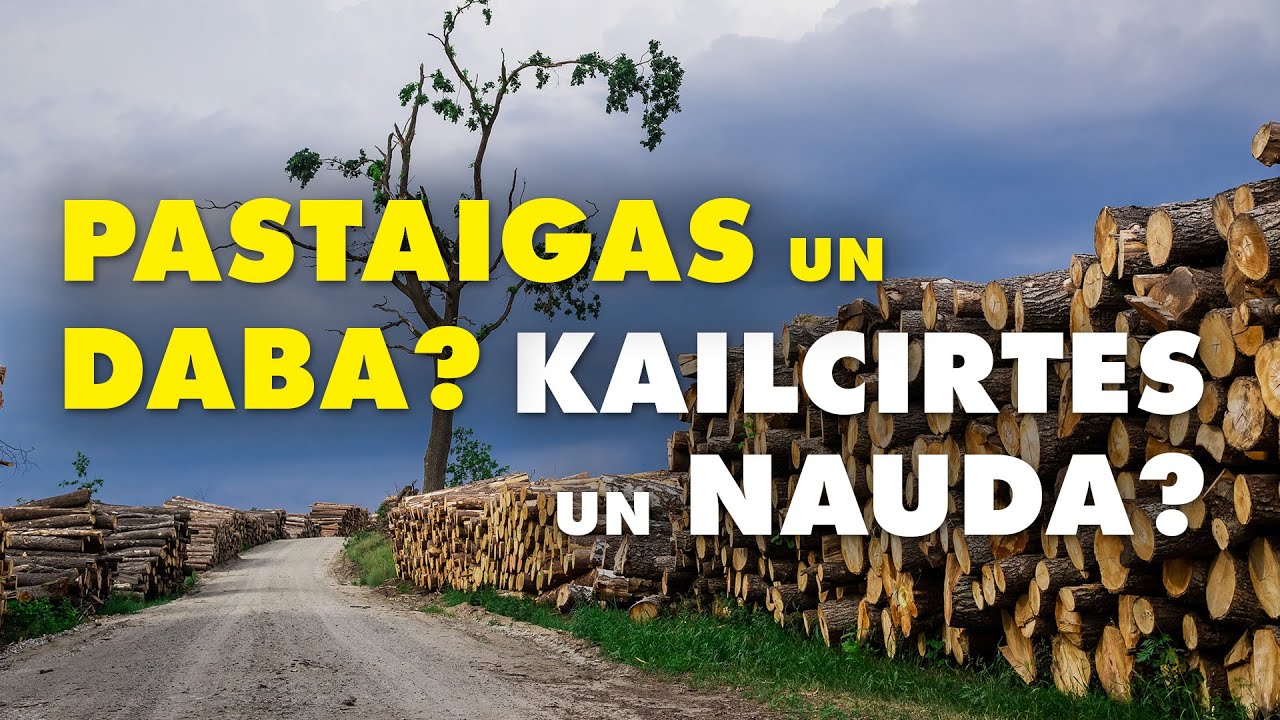 Kas īsti notiek ar MEŽU ciršanas NOTEIKUMIEM?