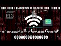 RIG: Reconnaissance & Information Gathering in Tamil | Practical Ethical Hacking|@GreyHatThamizha