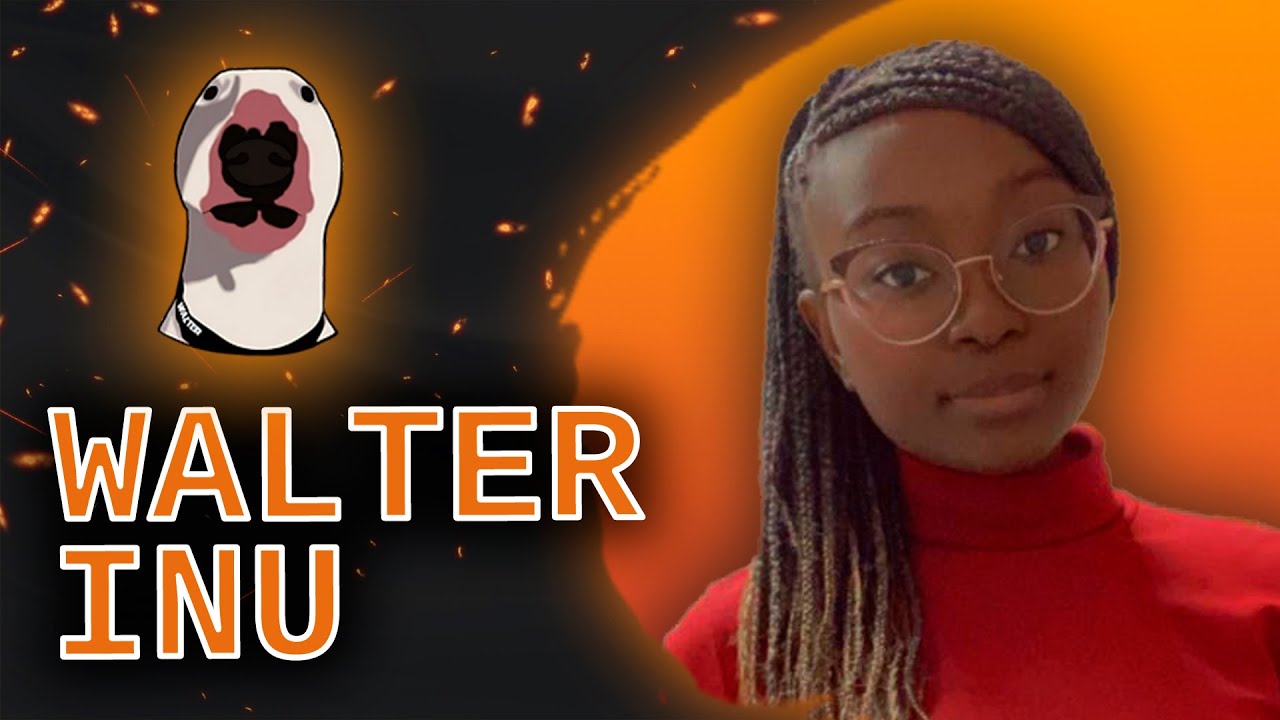 Walter Inu - A unique dashboard! A fantastic project! - YouTube