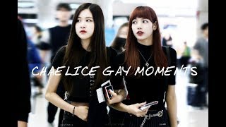 Chaelisa Gay Moments blackpink