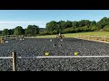 Orla Oct Trecability