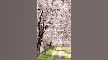 ماهر المعيقلى تلاوه رائعه