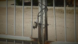Dozens of dogs impounded from local trainer