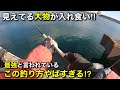船の下に見えてる大物が連発するこの最強と言われている釣り方がやばすぎる⁉︎【エビ撒き釣り】