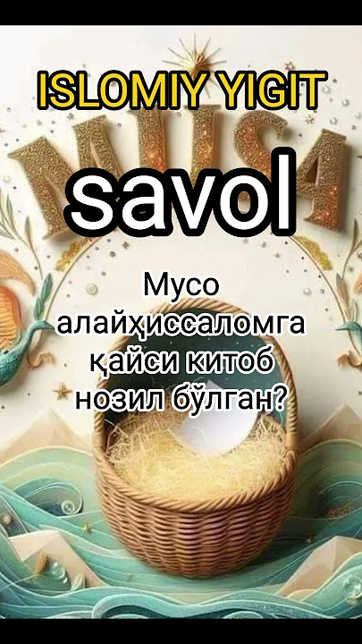 ISLOMIY YIGITdan SAVOL #din #musofir #rek #savoljavob #mushuklar #maruzalar