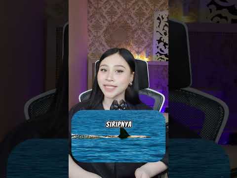Sirip Di Laut