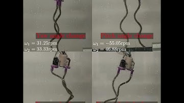 Bundling and Tumbling in Bacterial-inspired Bi-flagellated Soft Robots for Attitude Adjustment