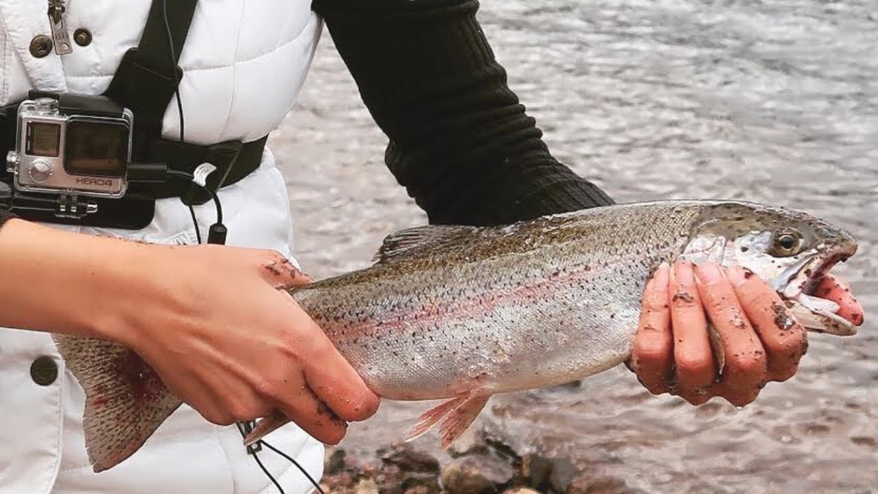 AWESOME CATCH Timothy Lake Oregon Trout Fishing YouTube