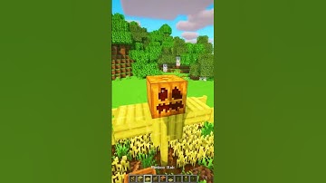 Scarecrow in Minecraft. #minecraft #java #bedrock