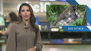 Morning Headlines: June 29, 2019