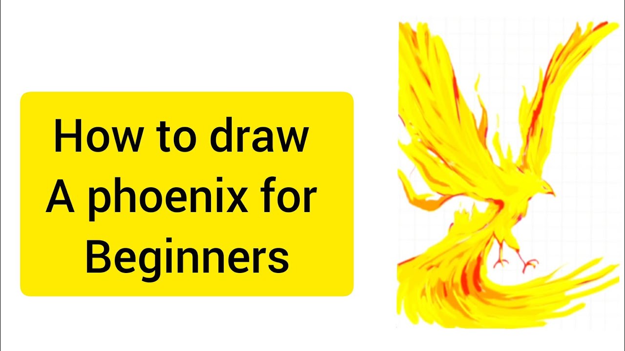 How to draw a phoenix for beginners - YouTube