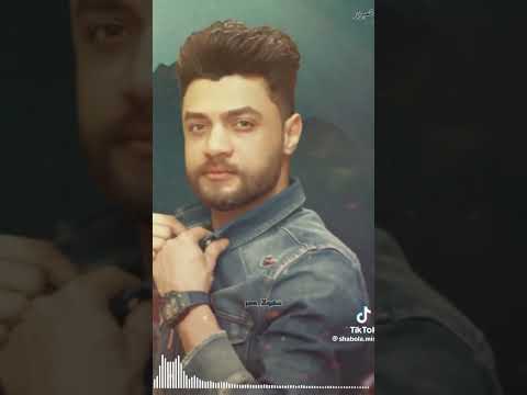 ابن الاسد احمد عامر