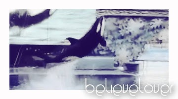 Malia will be . y o u n g f o r e v e r . ((Believe13at