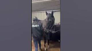 efc6db17b5444afa9c8e28d851d205f8