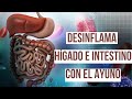 ¡CÓMO DESINFLAMAR Y REGENERAR EL HÍGADO Y EL INTESTINO CON EL AYUNO!