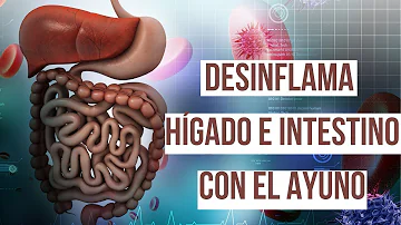 ¿El ayuno limpia los intestinos?