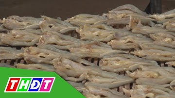 Làng khô cá lóc Hồng Ngự tất bật sản xuất phục vụ Tết | THDT
