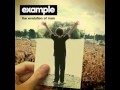 Example - The Evolution of Man