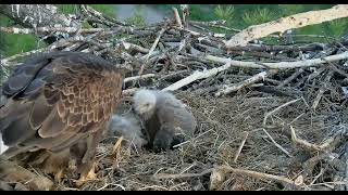 Trempealeau Eagles Breakfast by Mr T  04 30 2024