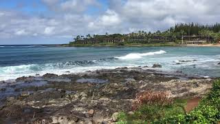 Beautiful Views of a Hawaiian Beach. Imagine the Sounds, Smell and Taste of the Salty Ocean Water.